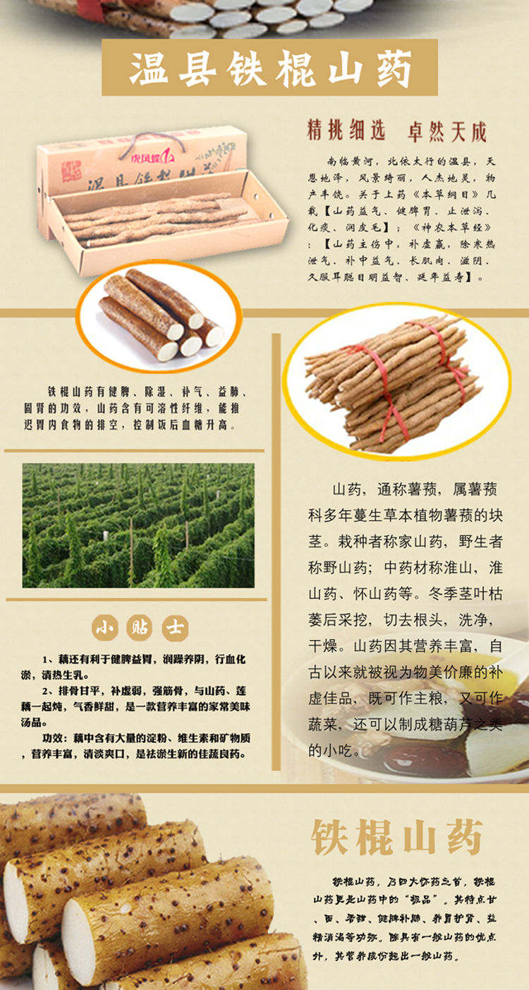 铁棍山药的功效与作用图片